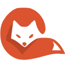 茶杯狐Cupfox